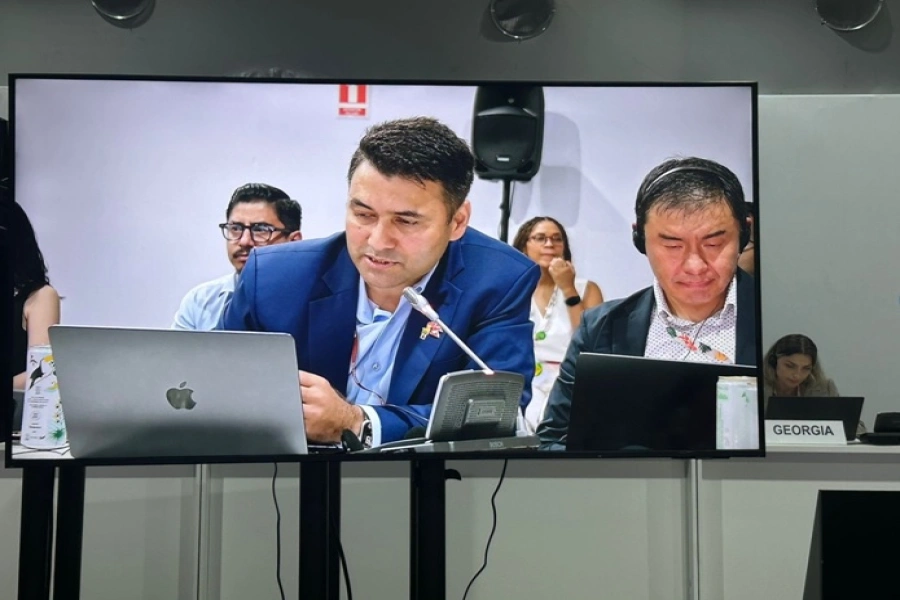 Nepal presses COP30 to institutionalize Mountain-C...